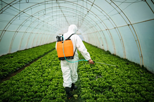 Best Affordable Pest Control Services  in Belington, WV