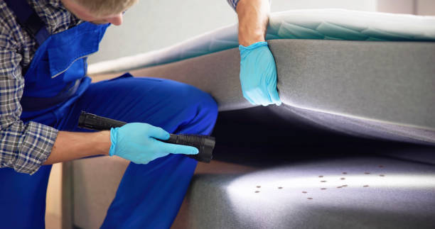 Best Best Pest Control Companies  in Belington, WV